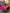 Ford Transit van in a custom printed pink and orange full vehicle wrap